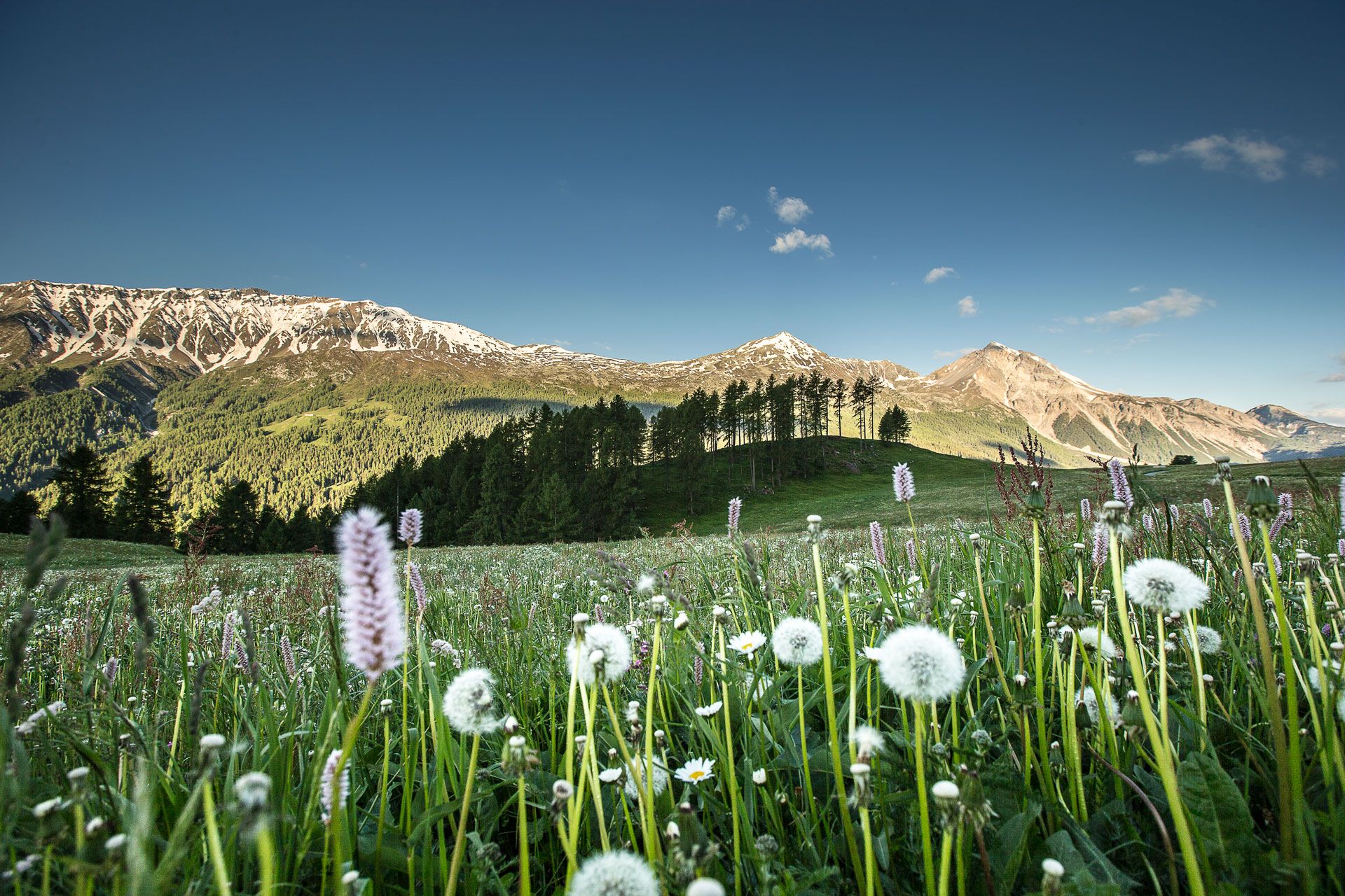 Berge Wandern Müstair WEB