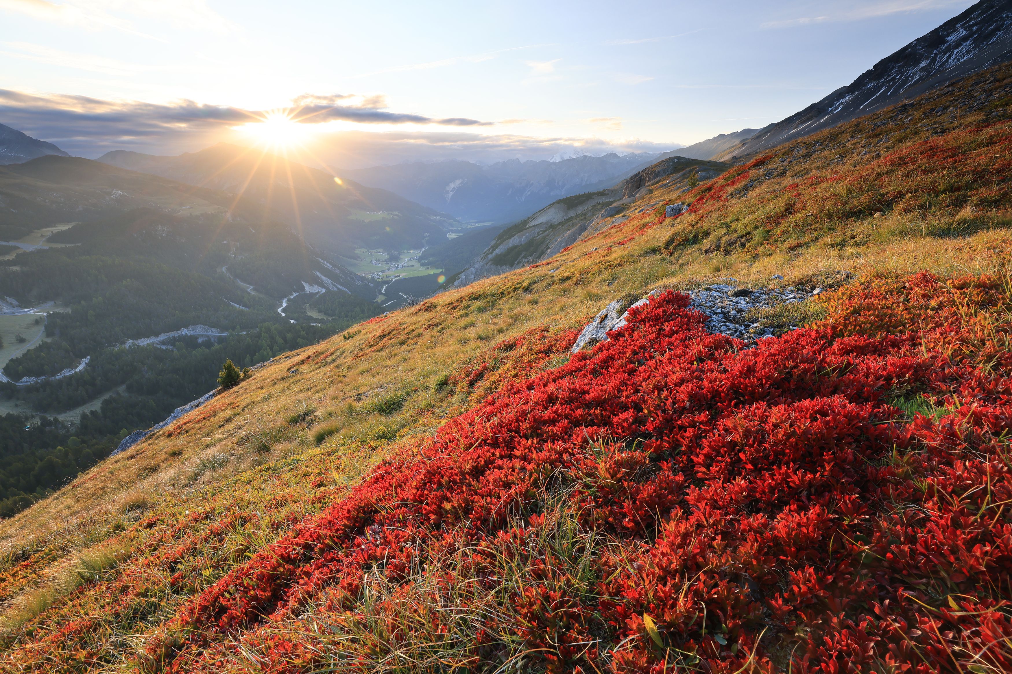 Herbst (2)