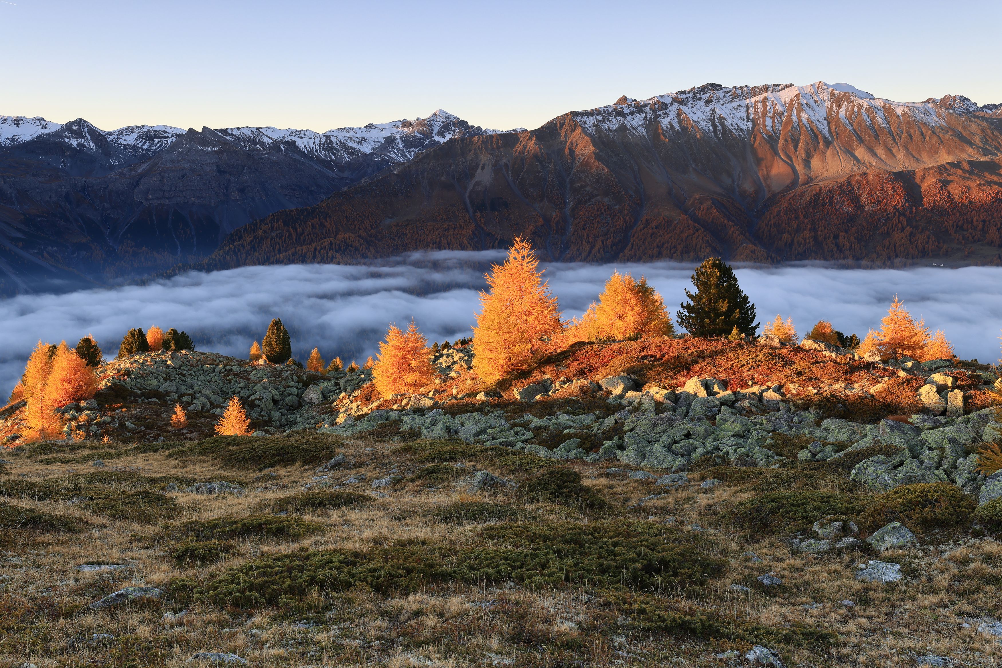 Natur Landschaft Herbst (29)
