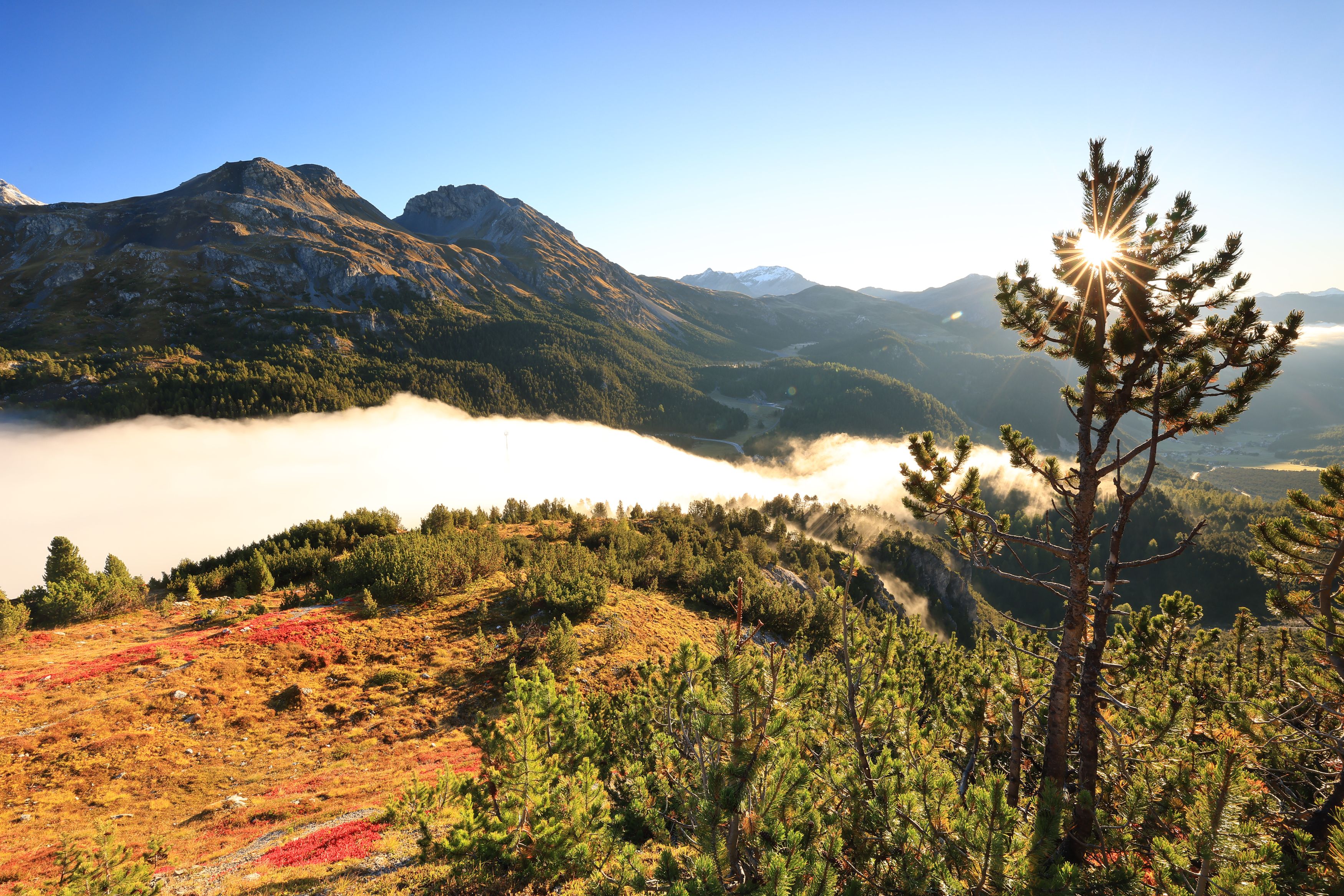 Natur Herbst Landschaft Aussicht (7)