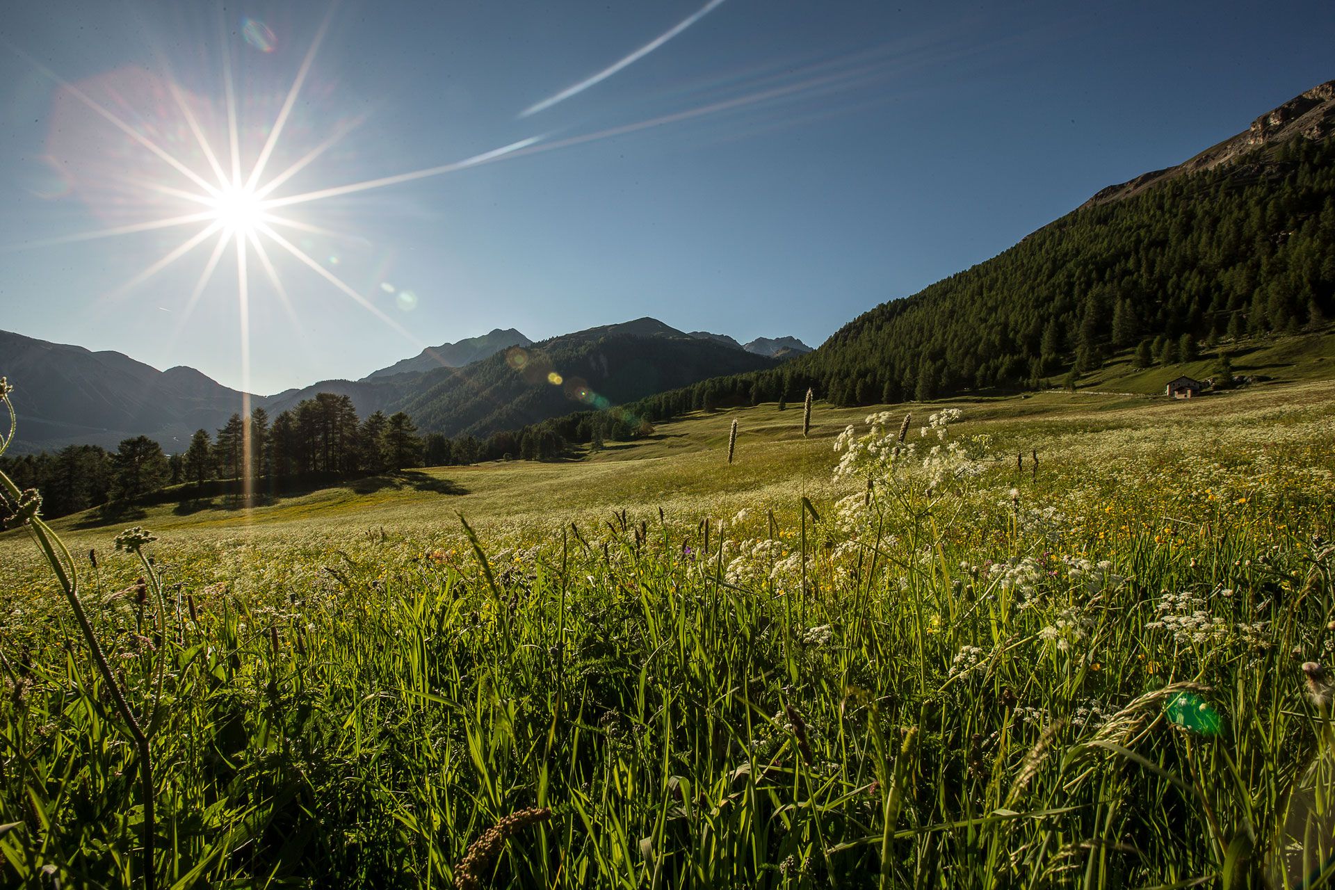 Natur Graubünden Valchava