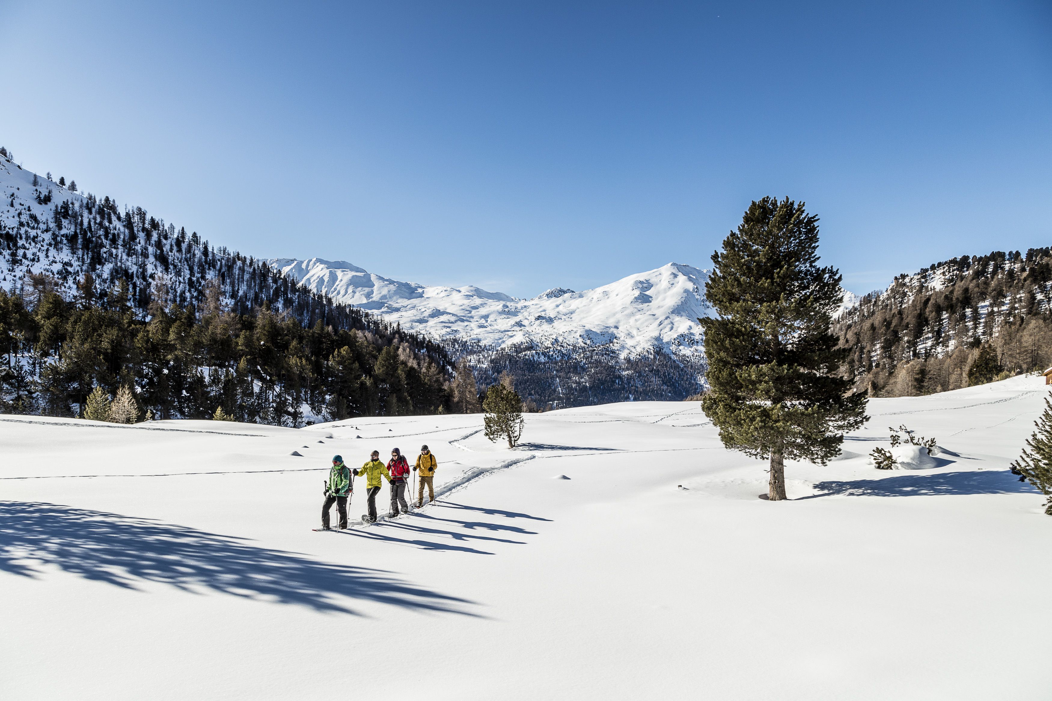 Schneeschuhwandern Frühlingserwachen