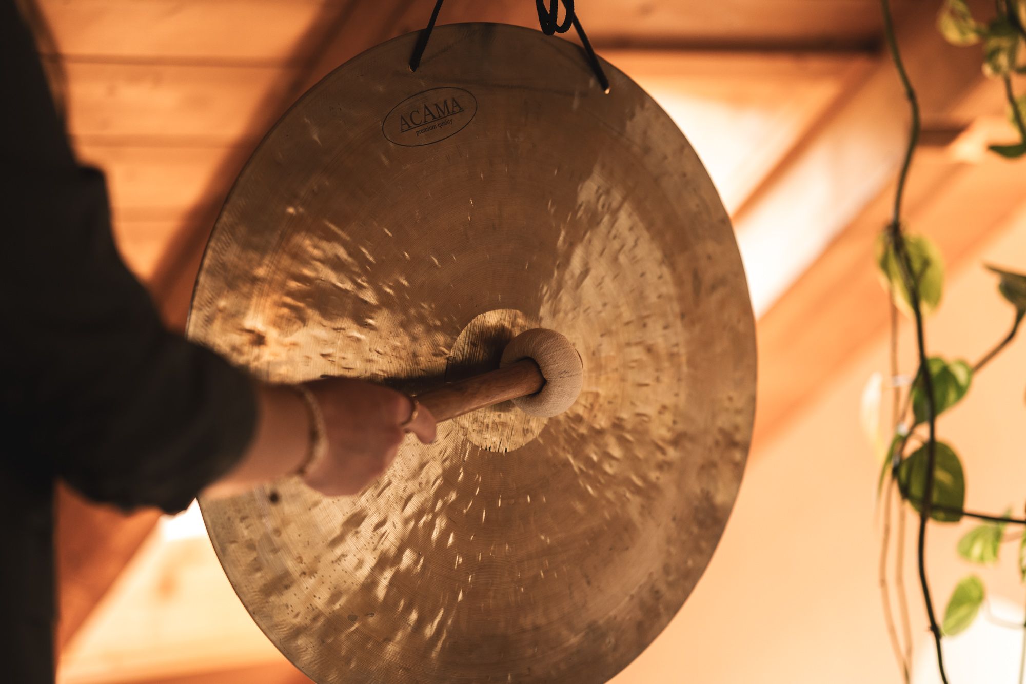 zf Hotel Central web 37